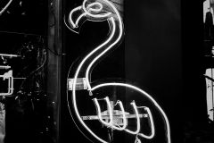 Japon-2025-Serie-1_1000073196