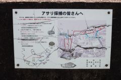 Japon-2025-Serie-1_IMG_0259