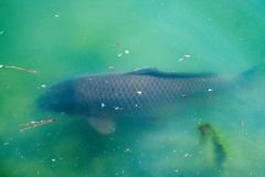 Japon-2025-Serie-1_IMG_0297