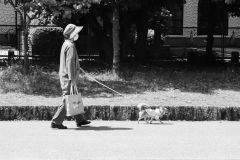 Japon-2025-Serie-1_IMG_0300