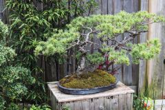 Japon-2025-Serie-1_IMG_0552