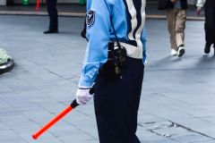 Japon-2025-Serie-1_IMG_0684