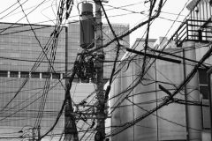 Japon-2025-Serie-1_IMG_0750