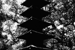 Japon-2025-Serie-1_R0008027