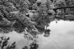 Japon-2025-Serie-1_R0008421